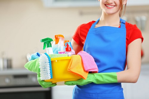 Professional move in cleaning in an empty living room