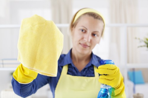 Professional upholstery cleaning of a sofa in a bright living room