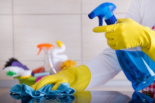 Final property inspection after end of tenancy cleaning
