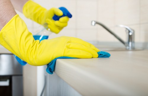 Eco-friendly move in cleaning for a fresh household setup
